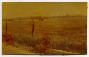[Photograph of Soldiers in Field]