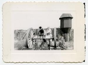 [Photograph of William Jenkins and Cannon]