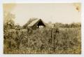 Photograph: [Photograph of Soldiers in Tent]