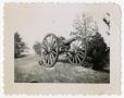 Photograph: [Photograph of Cannon]