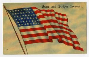 Primary view of object titled '[Postcard of American Flag]'.