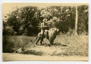 [Photograph of Soldier on Lion Statue]