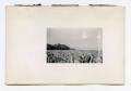 Photograph: [Photograph of Soldiers on Beach]
