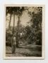 Photograph: [Photograph of Soldier in Jungle]
