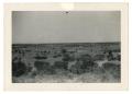 Photograph: [Photograph of Field]