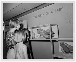 [Childbirth Model at Museum of Natural History]