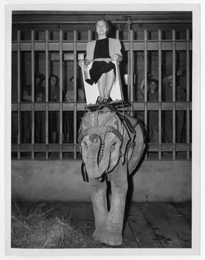 [Woman Riding Elephant at Marsalis Zoo]