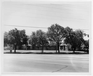 [Trees and Building at Lake Cliff Park]