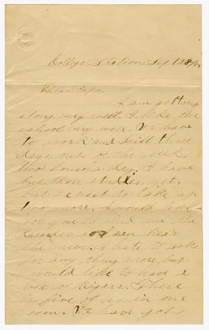 Primary view of object titled '[Letter from "Boy" Bradley to L. D. Bradley - September 28, 1885]'.