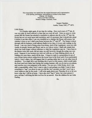 [Transcript of Letter from L. D. Bradley to Minnie Bradley - February 7, 1875]