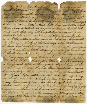 Primary view of object titled '[Letter from Fanny Halbert to J. L. Halbert]'.
