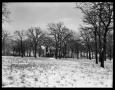 Photograph: [House and Trees in Snow]