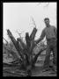 Photograph: [Man Standing with Tree Trunk]