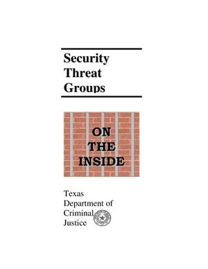 Security Threat Groups: On the Inside