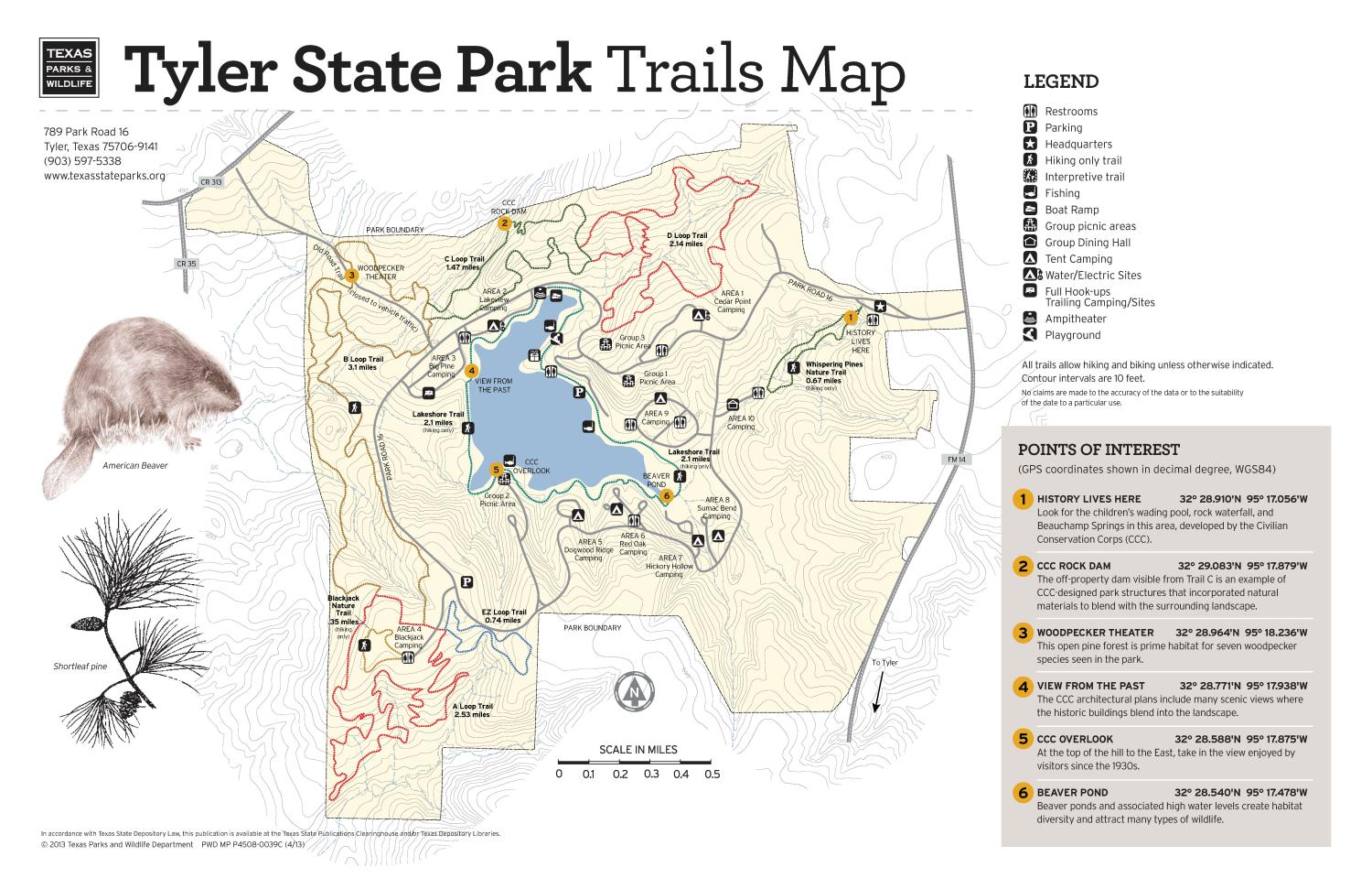 tyler state park map Tyler State Park Trails Map The Portal To Texas History