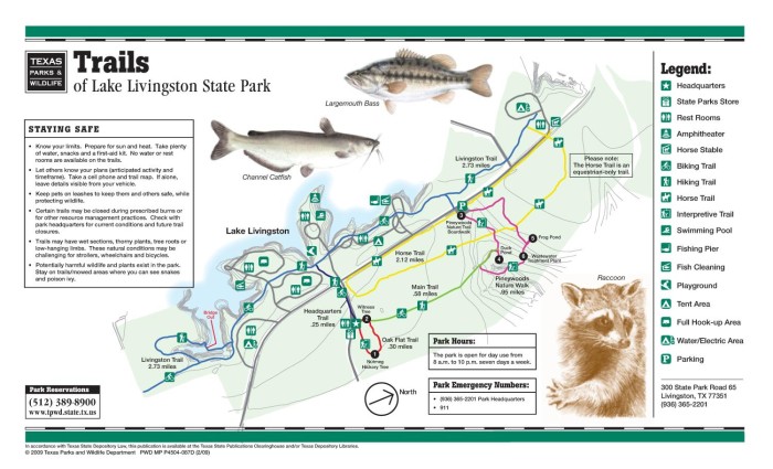 Trails of Lake Livingston State Park - The Portal to Texas History