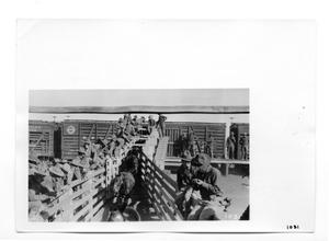 Primary view of object titled '[Soldiers Unloading Horses]'.