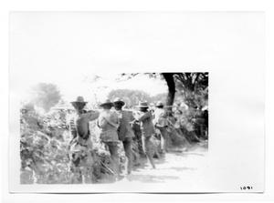 Primary view of object titled '[Mexican Constitutional Soldiers]'.