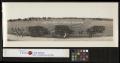 Thumbnail image of item number 1 in: '[Photograph of 142nd Infantry, 71st Brigade, 36th Division]'.