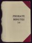 Book: Travis County Probate Records: Probate Minutes 14