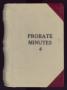 Book: Travis County Probate Records: Probate Minutes 4