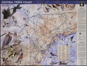 Great Texas Coastal Birding Trail: Central Texas Coast