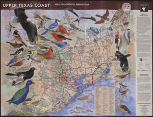 Primary view of object titled 'Great Texas Coastal Birding Trail: Upper Texas Coast'.