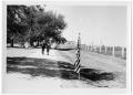 Photograph: [Dirt Path Lined with Flags]