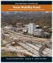 Report: Texas Mobility Fund Financial Statements: 2008
