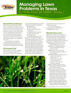 Managing Lawn Problems in Texas