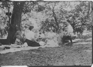 Primary view of object titled '[Photograph of Picnic]'.