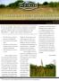 Pamphlet: Caeser Kleberg Wildlife Research Institute: Invasive Grasses Research