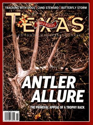 Primary view of object titled 'Texas Parks & Wildlife, Volume 72, Number 9, November 2014'.