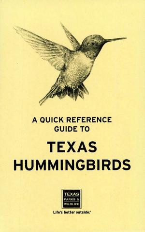 A Quick Reference Guide to Texas Hummingbirds