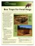 Pamphlet: Box Traps for Feral Hogs