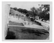 Photograph: [People at a Pool]