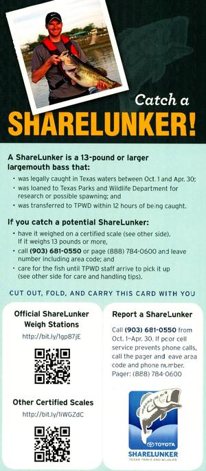 Catch A Sharelunker