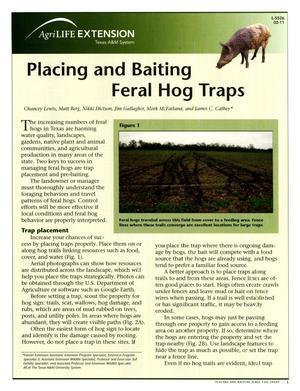 Placing and Baiting Feral Hog Traps