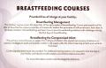 Thumbnail image of item number 2 in: 'Breastfeeding Resources'.