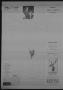 Thumbnail image of item number 4 in: 'The Bandera Bulletin (Bandera, Tex.), Vol. 22, No. 18, Ed. 1 Friday, October 14, 1966'.