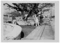 Photograph: [People Working Near a Tree]