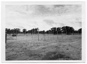 [Wire Fencing on a Field]