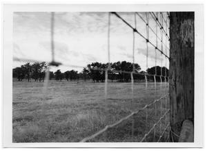 [Field as Seen Through a Fence]