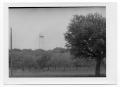 Thumbnail image of item number 1 in: '[Trees with Tower]'.