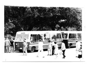 Primary view of object titled '[Tour Buses]'.