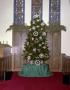 Photograph: [First Presbyterian Church's Christmas Tree]