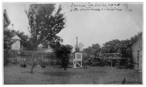 Scene in back yard of J. D. Mitchell [home]