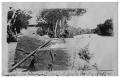 Thumbnail image of item number 1 in: '[Bales of cotton on the banks of the] Guadalupe River [in] Tivoli'.