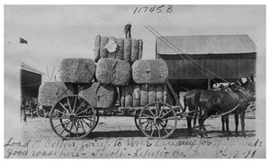 Primary view of object titled 'Load of cotton going to river landing for shipment--good roads here'.