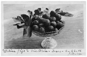 Primary view of object titled 'Odin Figs, Victoria, Texas'.